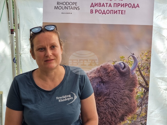 В Източните Родопи са се родили три нови зубърчета