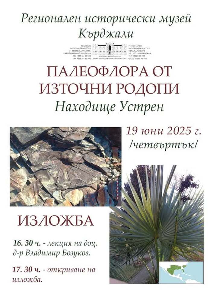Музеят в Кърджали представя изложба с фосилни листни отпечатъци от района на джебелското село Устрен