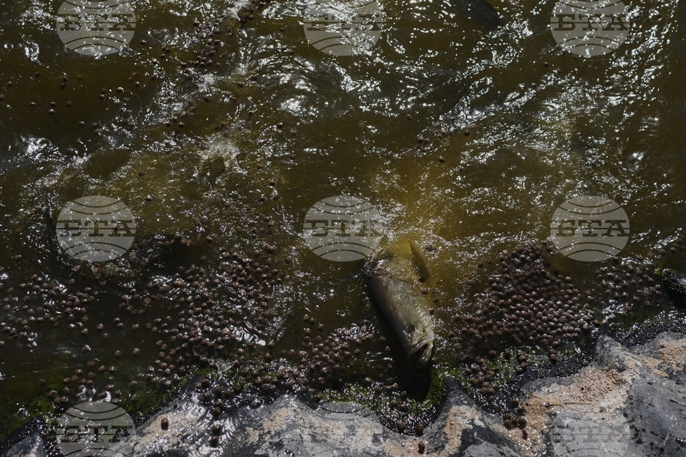 Climate Desert Fish Farms