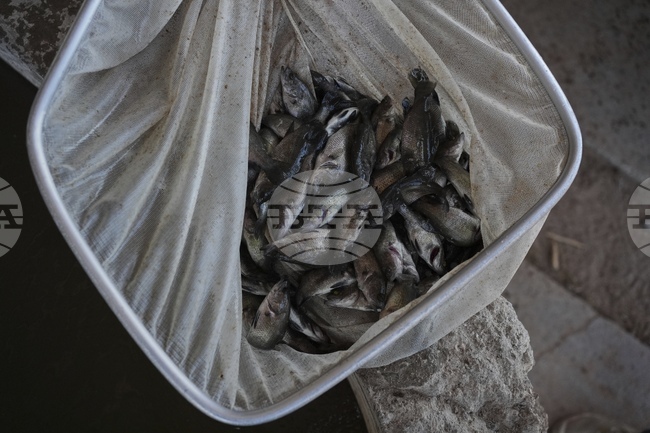 КАБАР: Президентът на Киргизстан призова жителите на страната да се откажат от рибарските мрежи от синтетични материали 