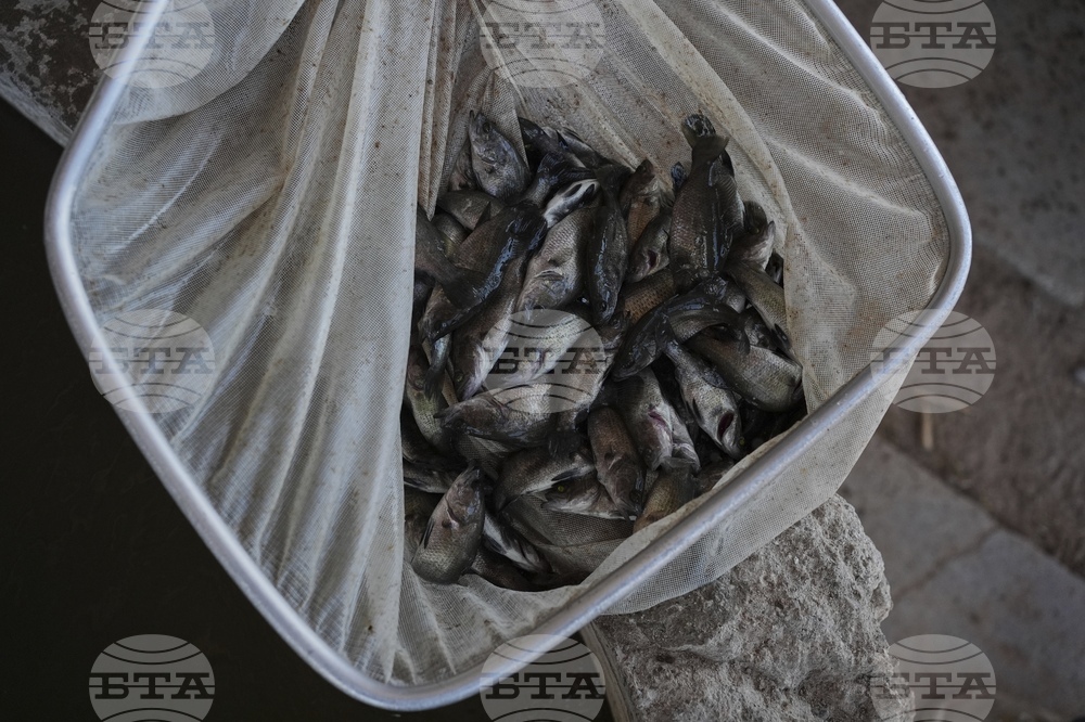 Climate Desert Fish Farms