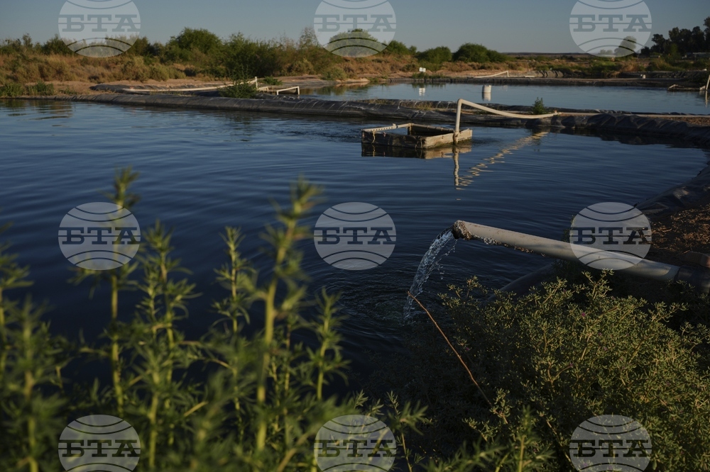 Climate Desert Fish Farms