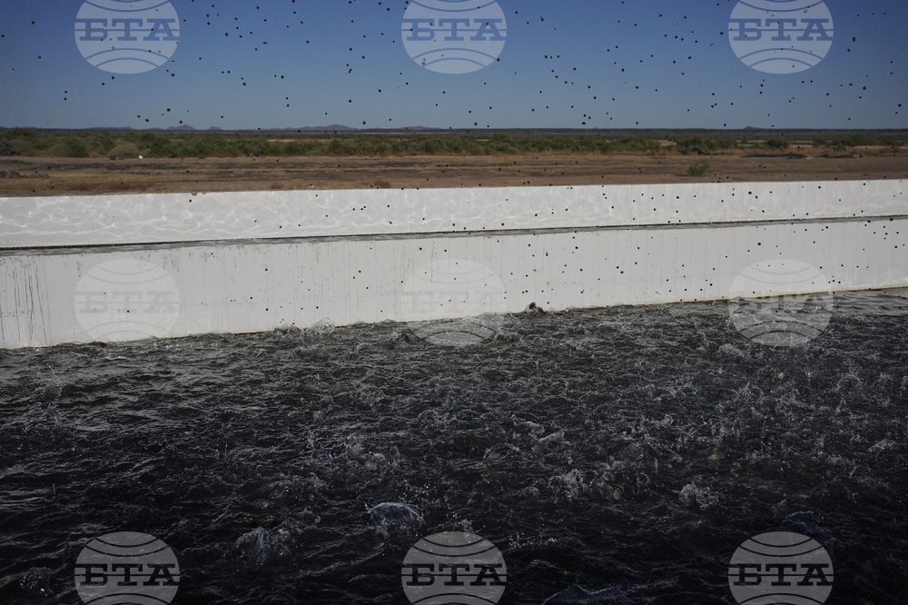 Climate Desert Fish Farms