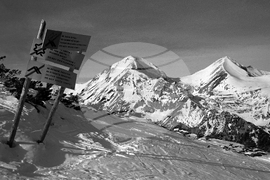 Местността Шилигарника в Пирин 