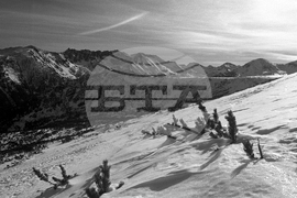 Местността Шилигарника в Пирин 