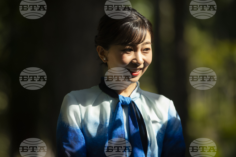 Brazil Japan Princess