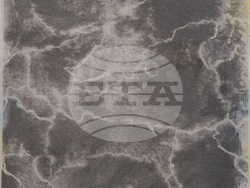 Картина на Деница Тодорова. Снимка: Националната галерия