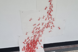 Левски - международна изложба - откриване