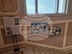 Изложбата „Биволи и дантели“ в ИЕФЕМ-БАН. Снимка: Ваня Сухарова/БТА