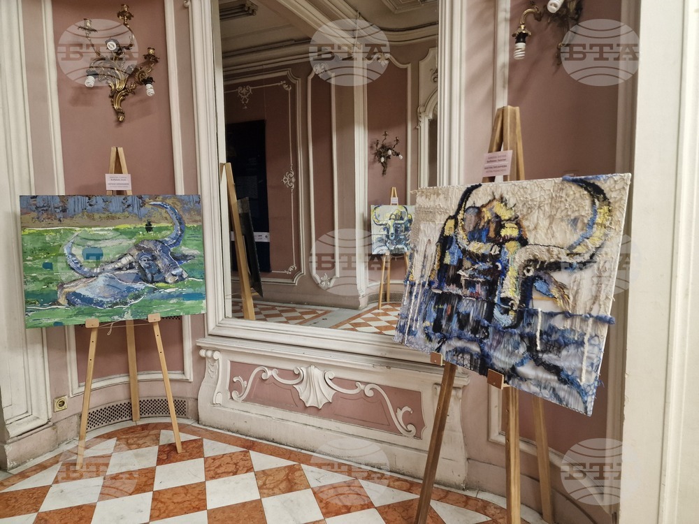 21st OIDFA World Lace Congress to be Held in Bulgaria in August, to Feature Buffaloes and Lace Exhibition