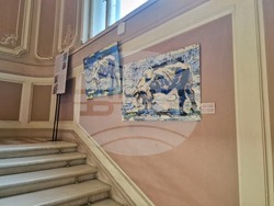 Изложбата „Биволи и дантели“ в ИЕФЕМ-БАН. Снимка: Ваня Сухарова/БТА