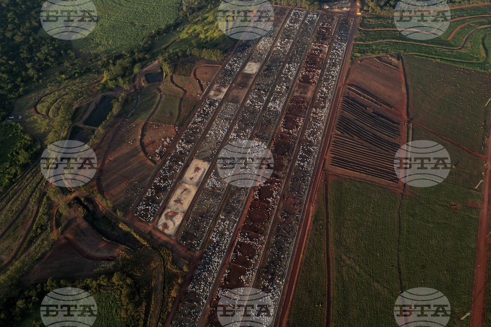 Brazil Cattle Feedlot