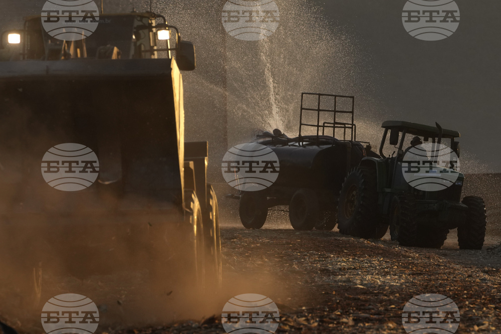 Brazil Cattle Feedlot