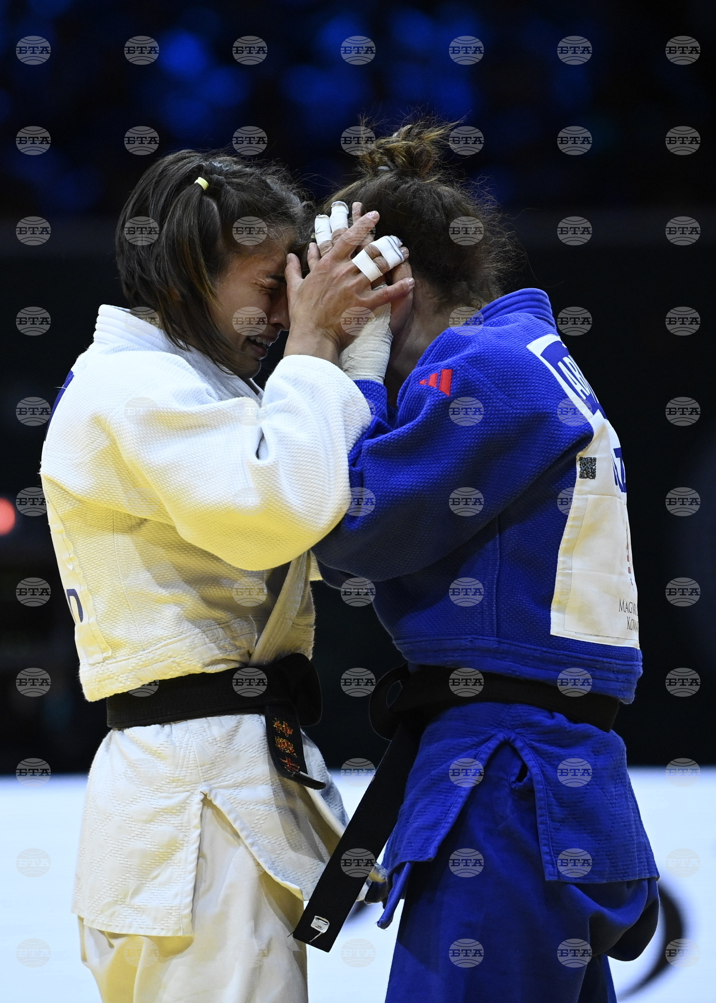 Hungary World Judo Championships