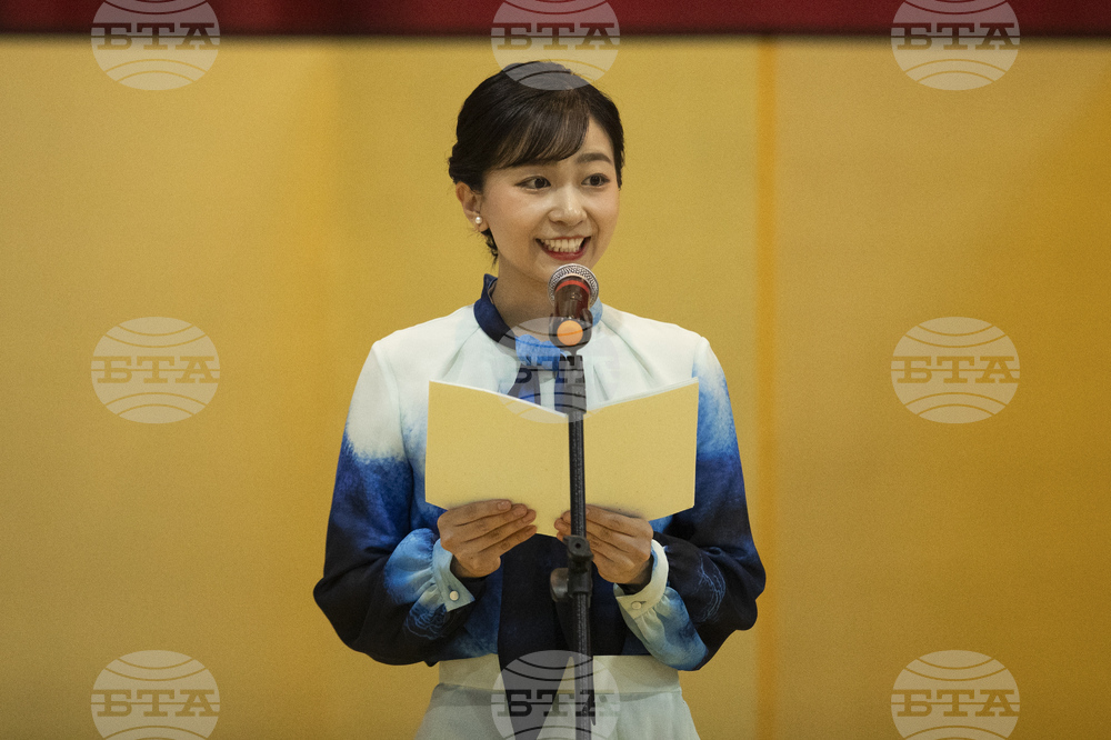 Brazil Japan Princess