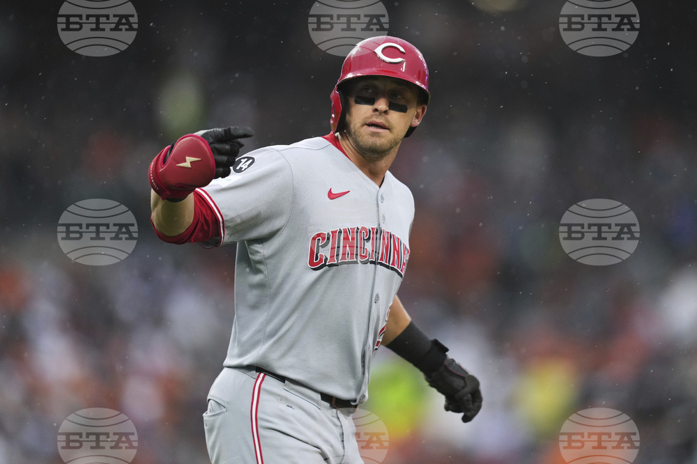 Reds Tigers Baseball