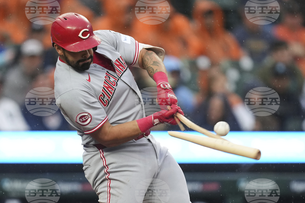 Reds Tigers Baseball