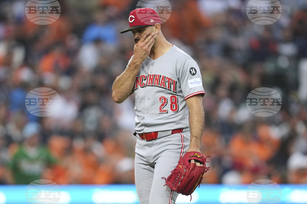 Reds Tigers Baseball
