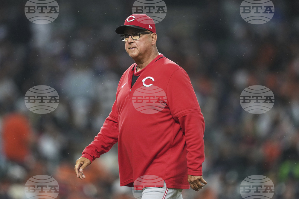 Reds Tigers Baseball
