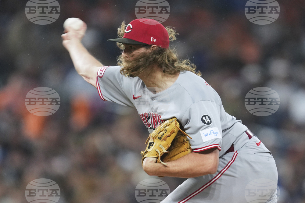 Reds Tigers Baseball