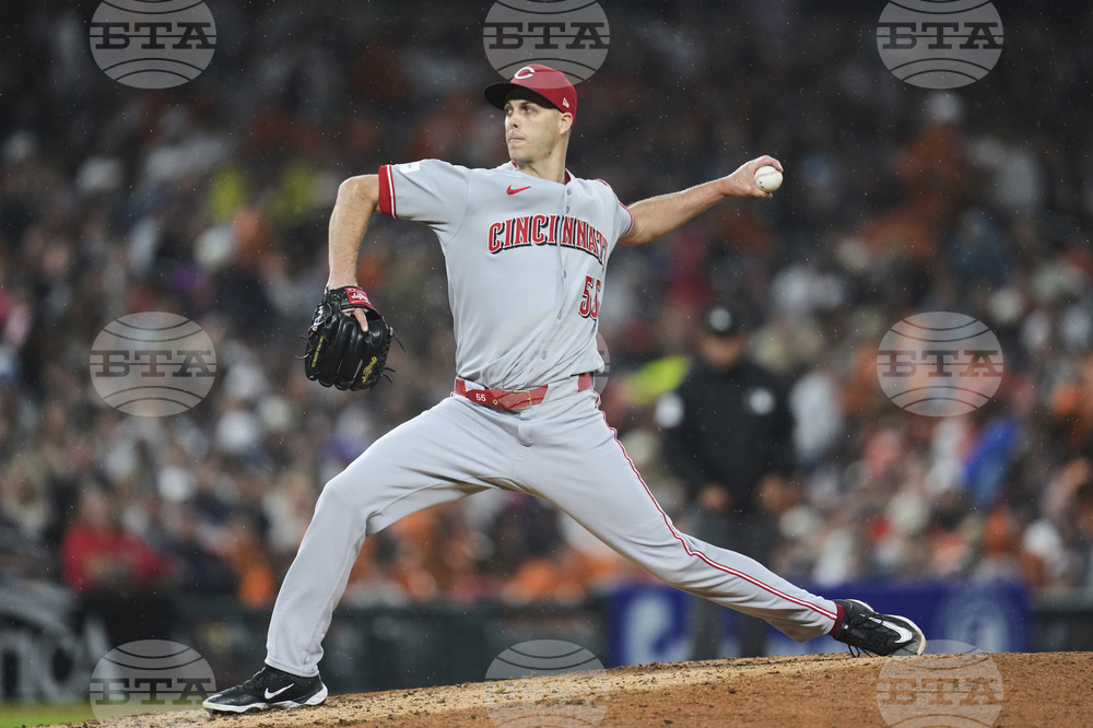 Reds Tigers Baseball