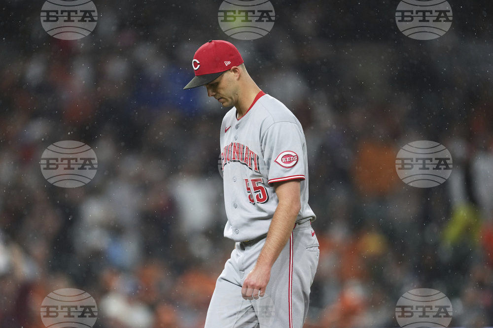 Reds Tigers Baseball