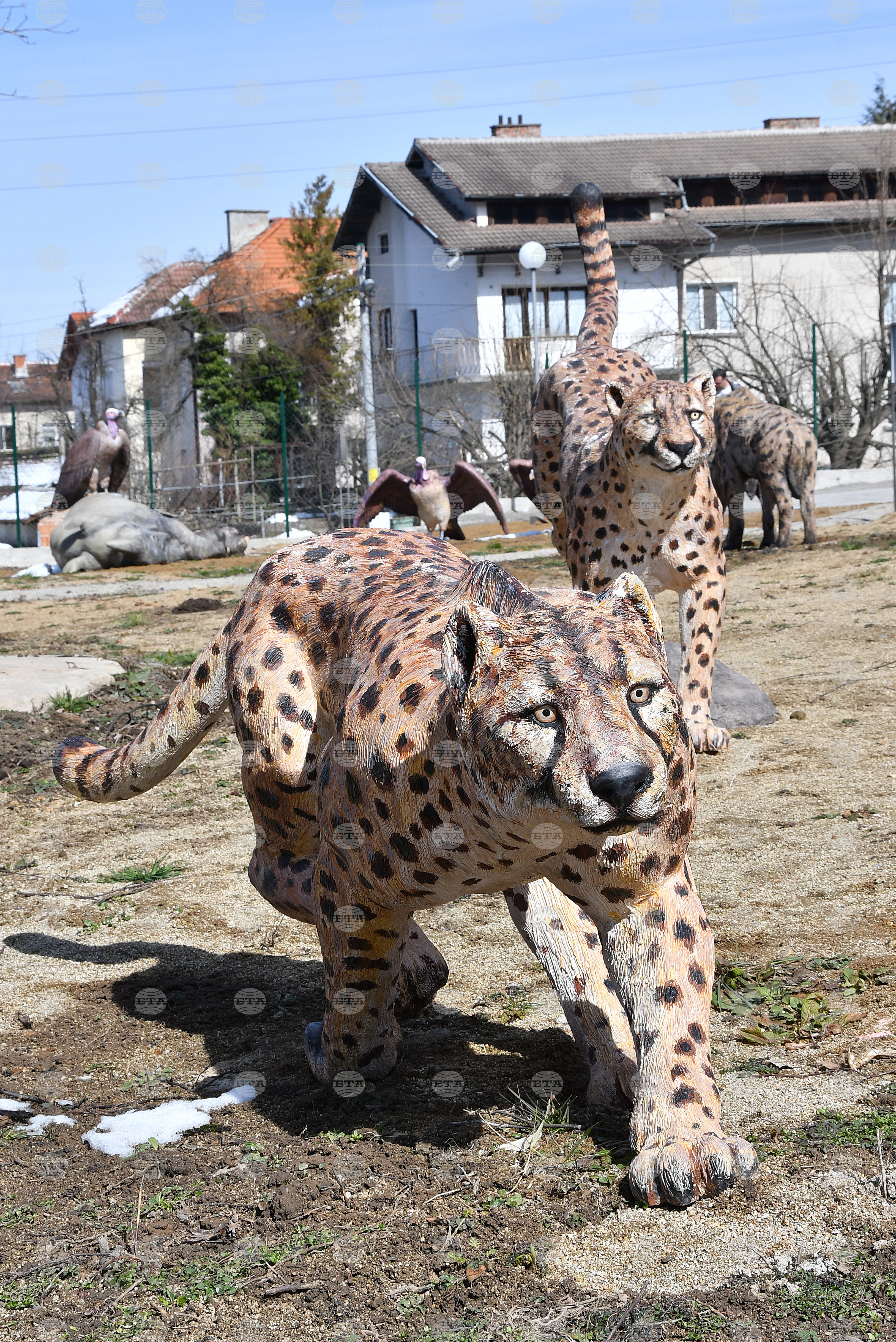 Вършец - палеопарк