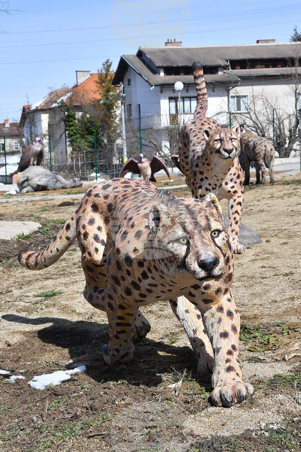 Вършец - палеопарк