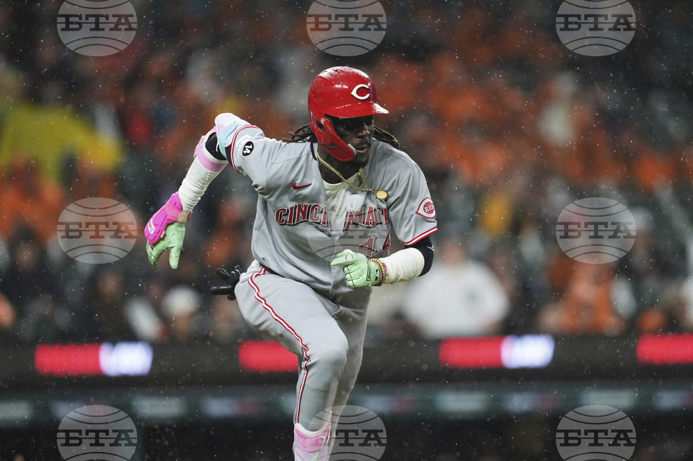 Reds Tigers Baseball