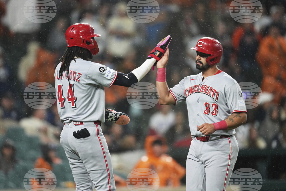 Reds Tigers Baseball