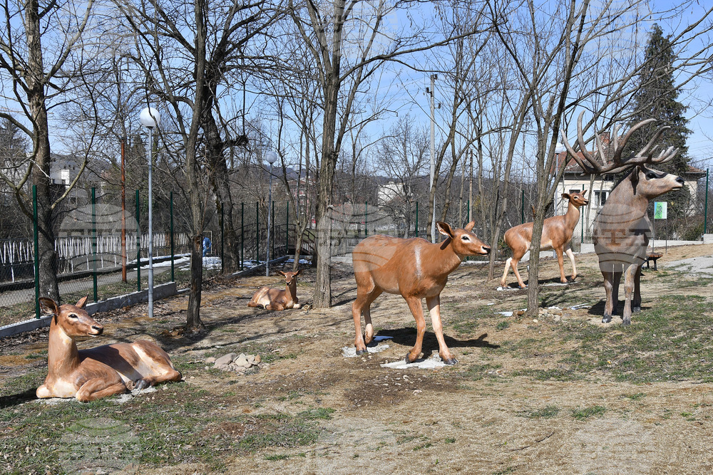 Вършец - палеопарк