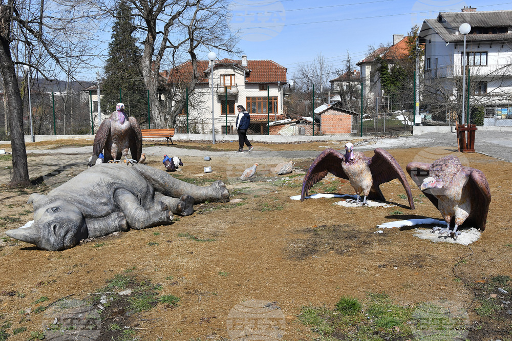 Вършец - палеопарк