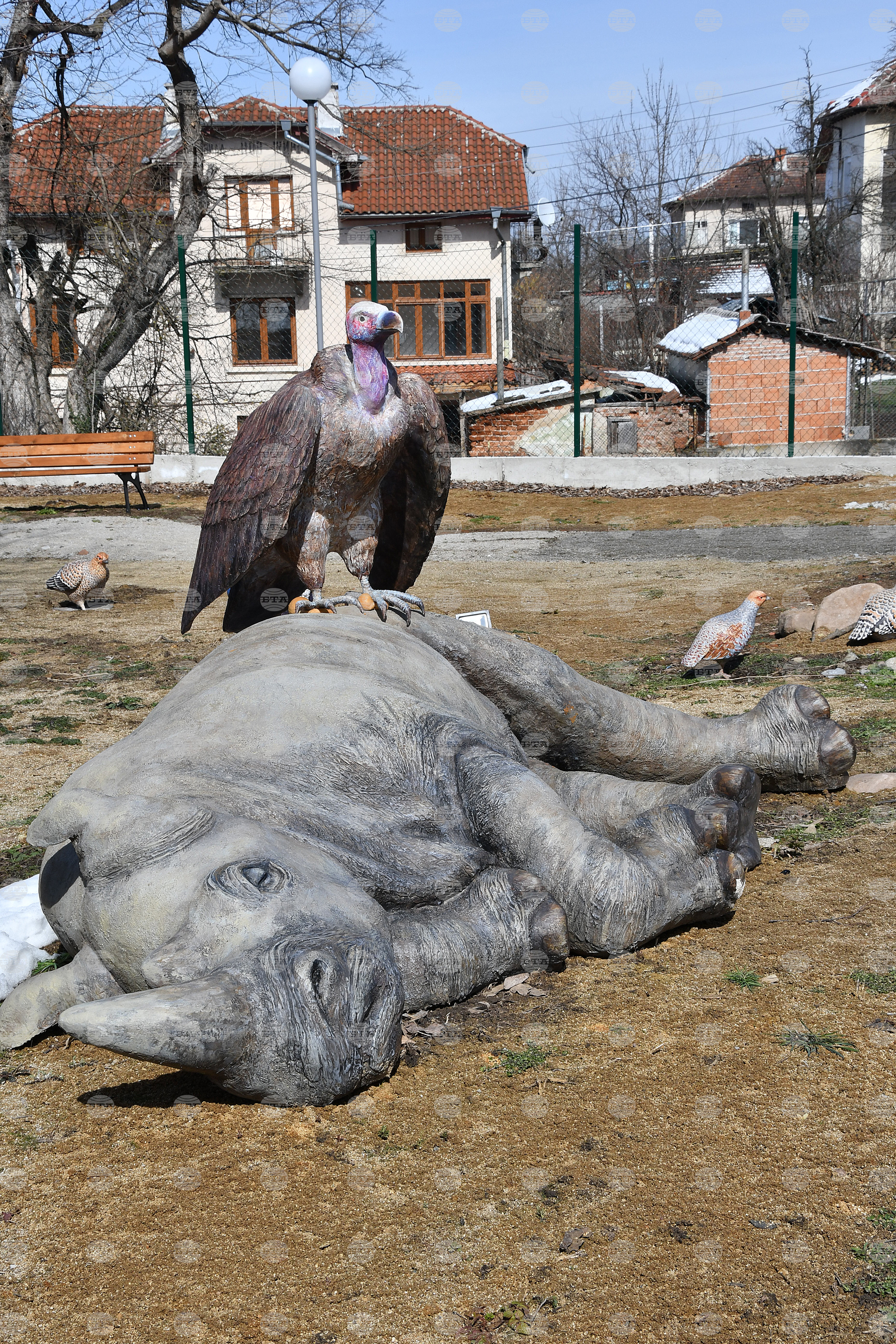Вършец - палеопарк