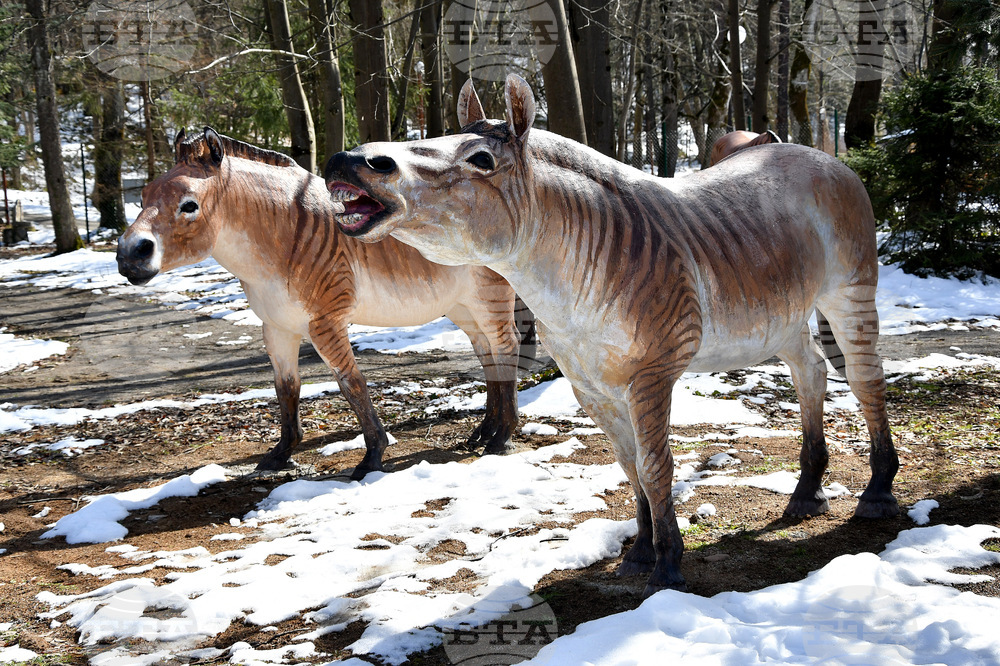 Вършец - палеопарк