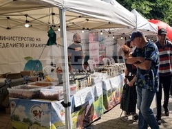 Кърджали - „Дни на приятелството“ - начало