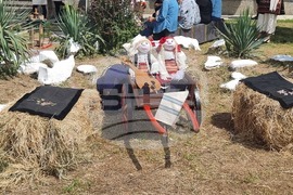 Село Коиловци - фолклорен събор