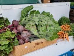 Ямбол - фермерско-занаятчийско изложение