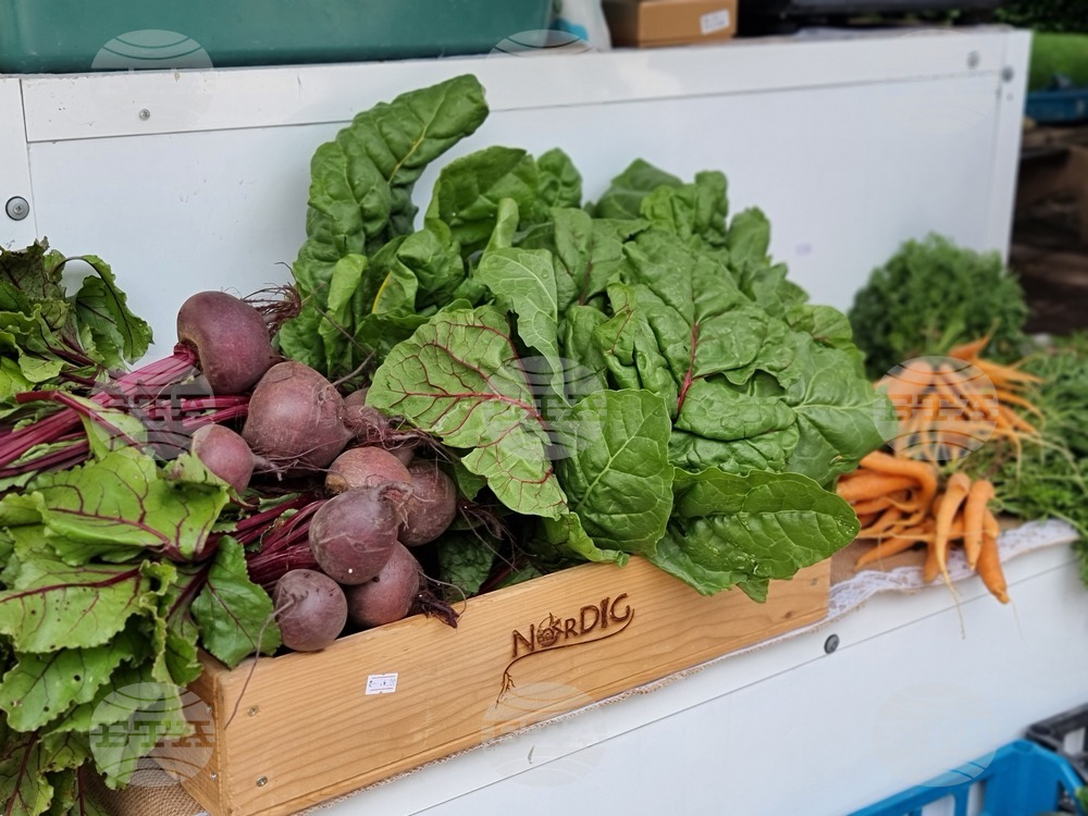 Hello Space Festival Will Exhibit Farmers' Produce