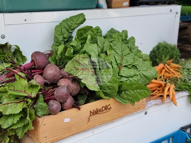 Hello Space Festival Will Exhibit Farmers' Produce