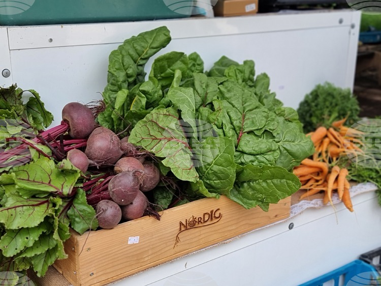 Hello Space Festival Will Exhibit Farmers' Produce