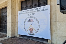 Разград - протест - трюфели