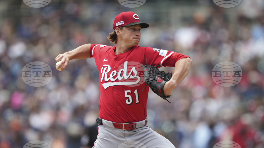 Reds Tigers Baseball