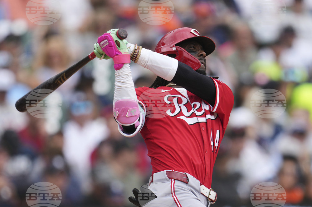 Reds Tigers Baseball