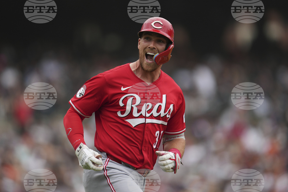 Reds Tigers Baseball
