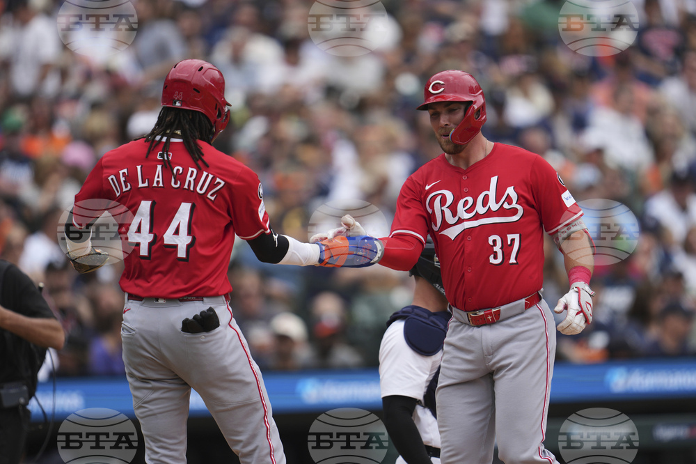 Reds Tigers Baseball