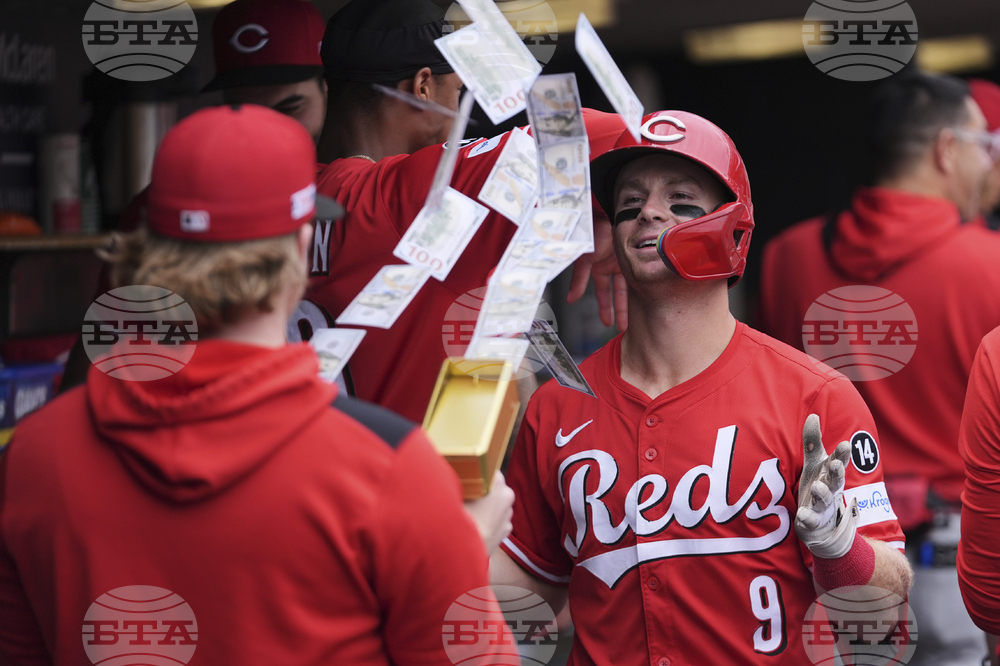 Reds Tigers Baseball