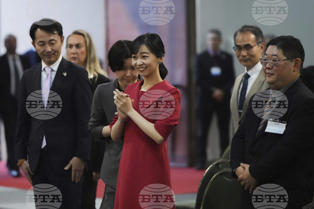 Brazil Japan Princess
