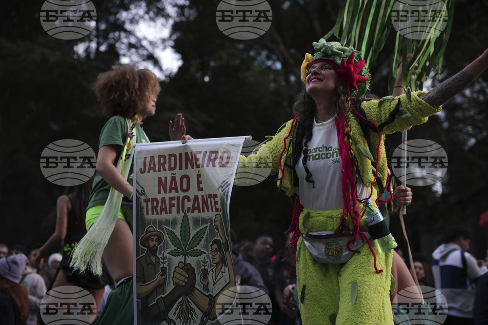 Brazil Marijuana