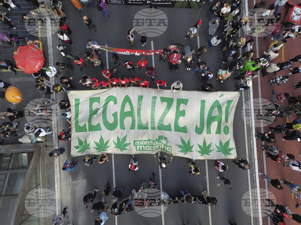 Brazil Marijuana