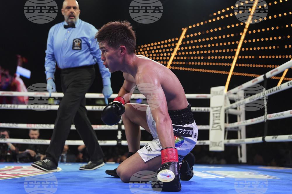 Cruz Mishiro Boxing